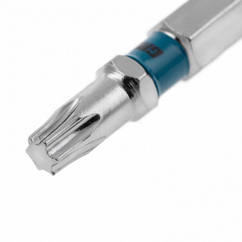 Бита Torx 25 х 50, сталь S2, 10 шт. Gross