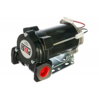 Резьбовой насос для перекачки дизельного топлива PIUSI BP3000 24V/12-3/4 BSP F00358500