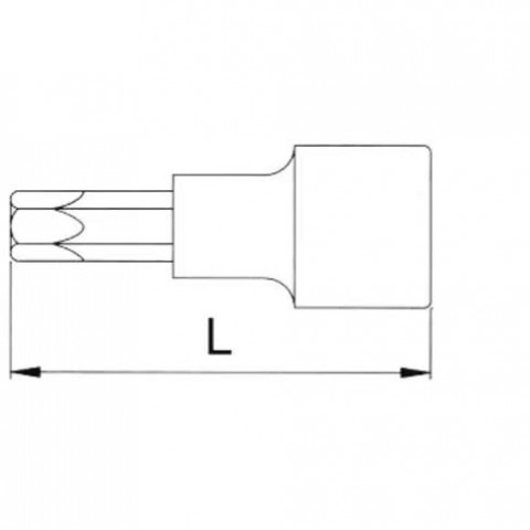 Головка торцевая с вставкой torx 1/2" T40 L=100 мм