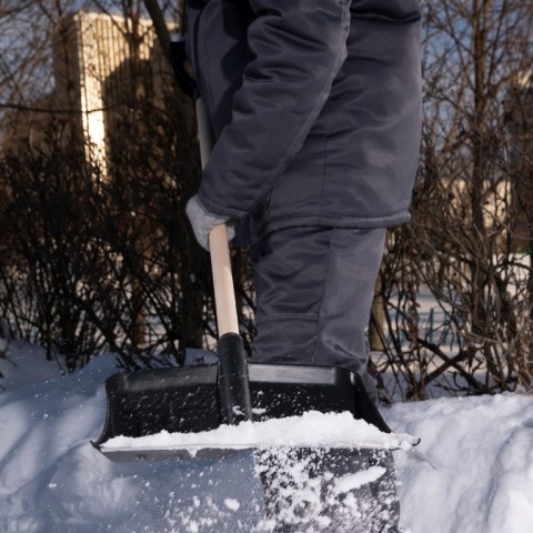Лопата для уборки снега пластиковая, 405 х 420 х 1415 мм, деревянный черенок, Sparta