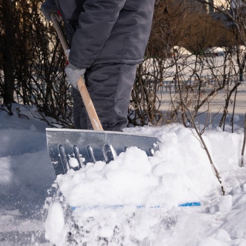 Лопата для уборки снега алюминиевая, 430 х 370 х 1350 мм, деревянный черенок, Россия, Сибртех