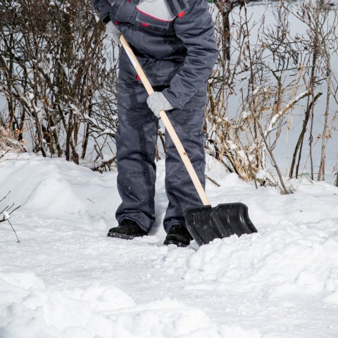 Лопата для уборки снега пластиковая, 350 х 350 х 1445 мм, деревянный черенок, Россия