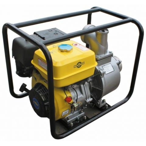 Мотопомпа бензиновая Mateus MS04002 (LT30CX-168F(LT) Mateus)